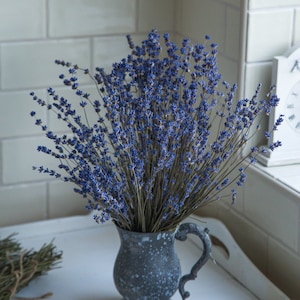 Lavender 2025 bouquet BLUEST 300 + stems dried natural Most fragrant variety in the world table decor any occasion craft gift local grow UK