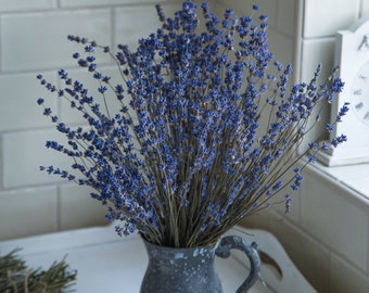 Blue Jug Vase With Bulk Gypsophila Dried White Flowers On Dark