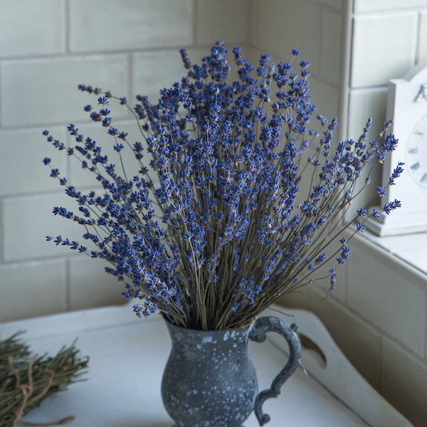 BLUEST 300+ stems dried natural lavender bouquet. Most fragrant lavender variety in the world) for cottage table decor craft gift in UK