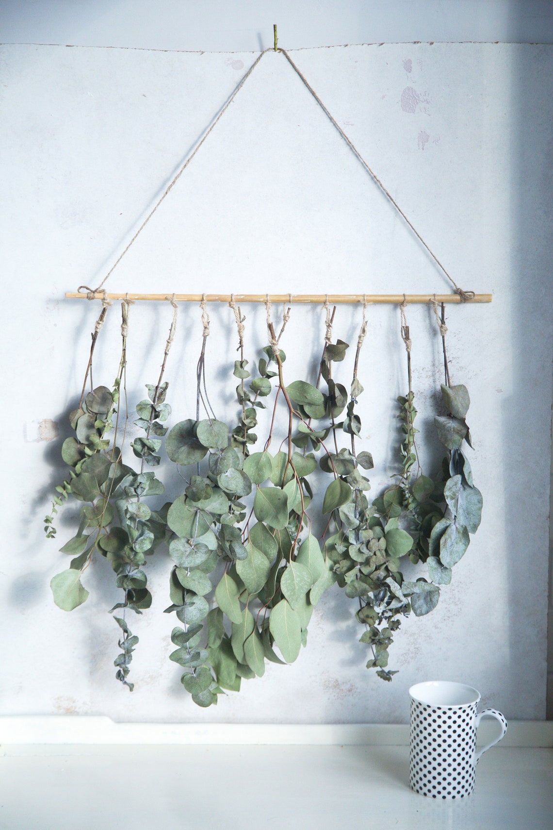 Eucalyptus Wall Hanging in UK natural dried flowers decor Etsy