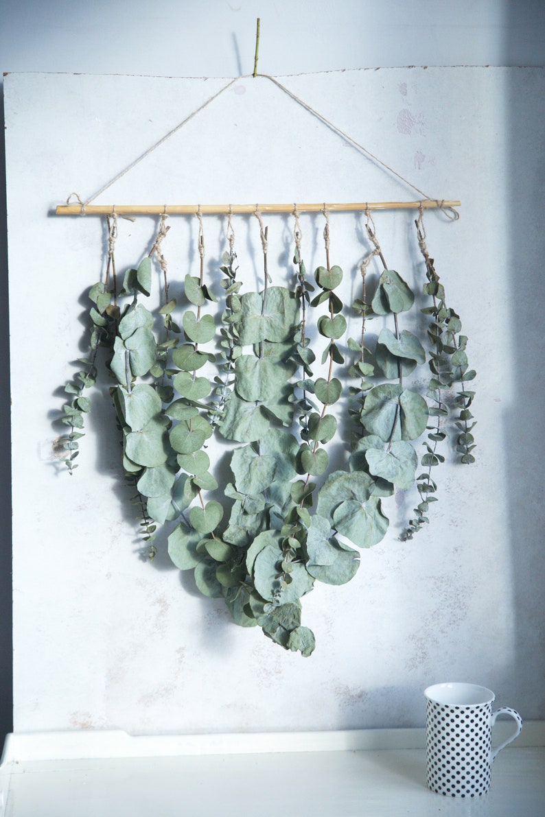 Eucalyptus Wall Hanging in UK Natural Dried Flowers Decor Etsy