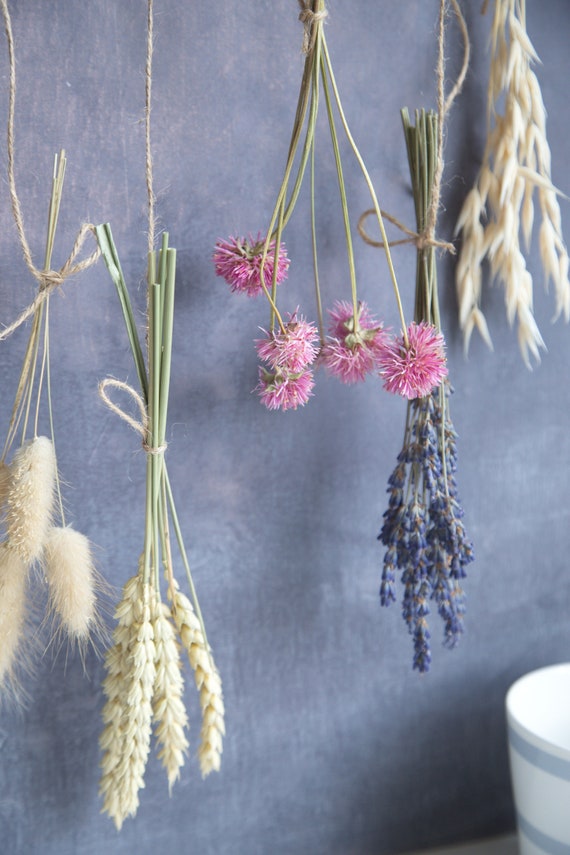 Boho fiori secchi appesi a parete cottage decorazione di nozze tutti i fiori  coltivati nel sud dell'Inghilterra nel Regno Unito -  Italia