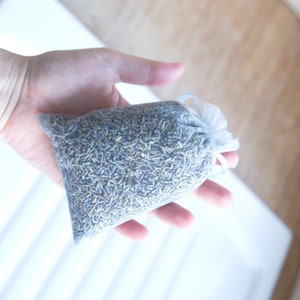 Lavendel 2025 Beutel UK / Kent gewachsen getrockneter frischer neuer Lager natürlicher Hausduft duftender Lavendeldusche 10 x 15 cm Aromatherapie Gesundheit organisch