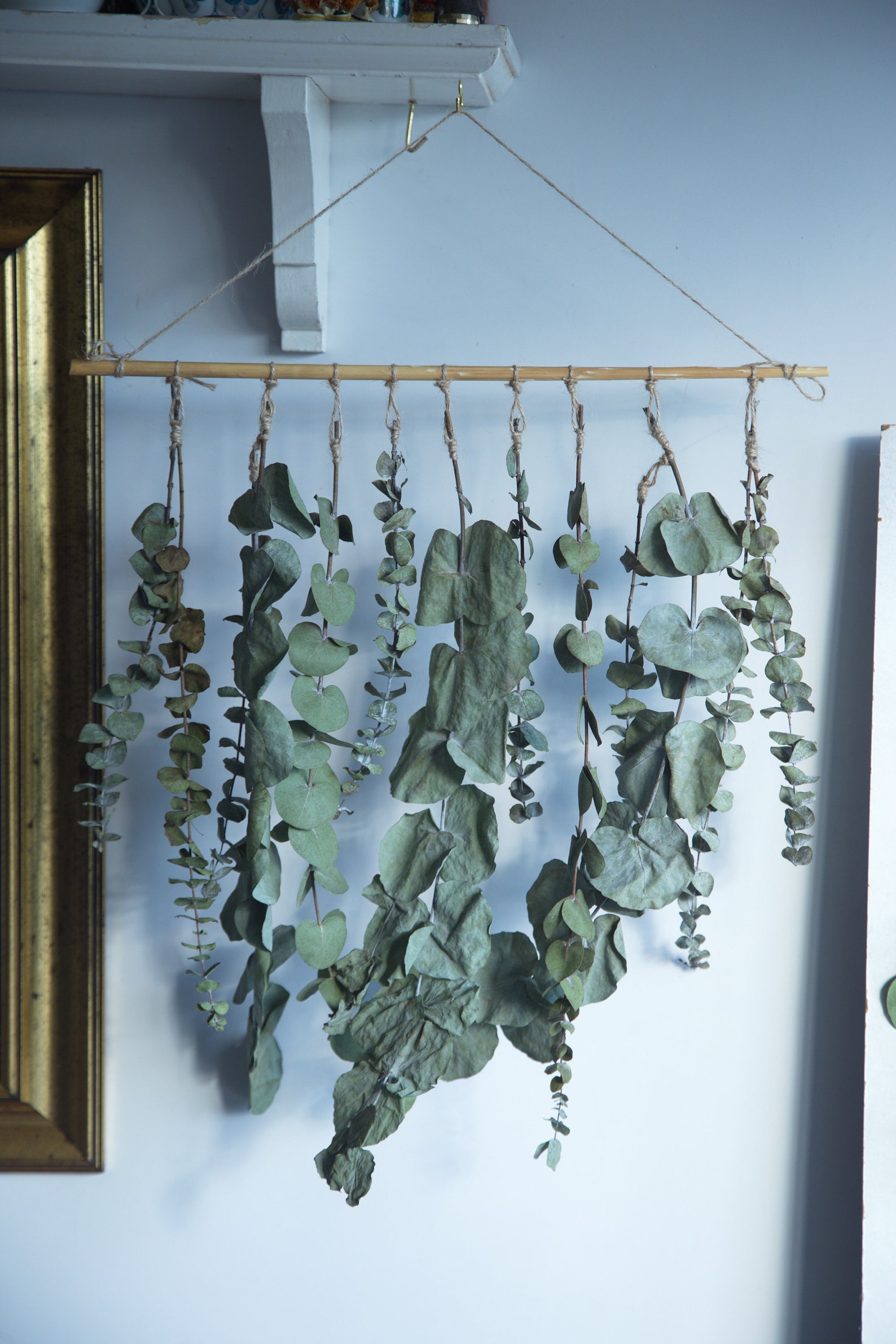 Eucalyptus Wall Hanging in UK Natural Dried Flowers Decor Etsy