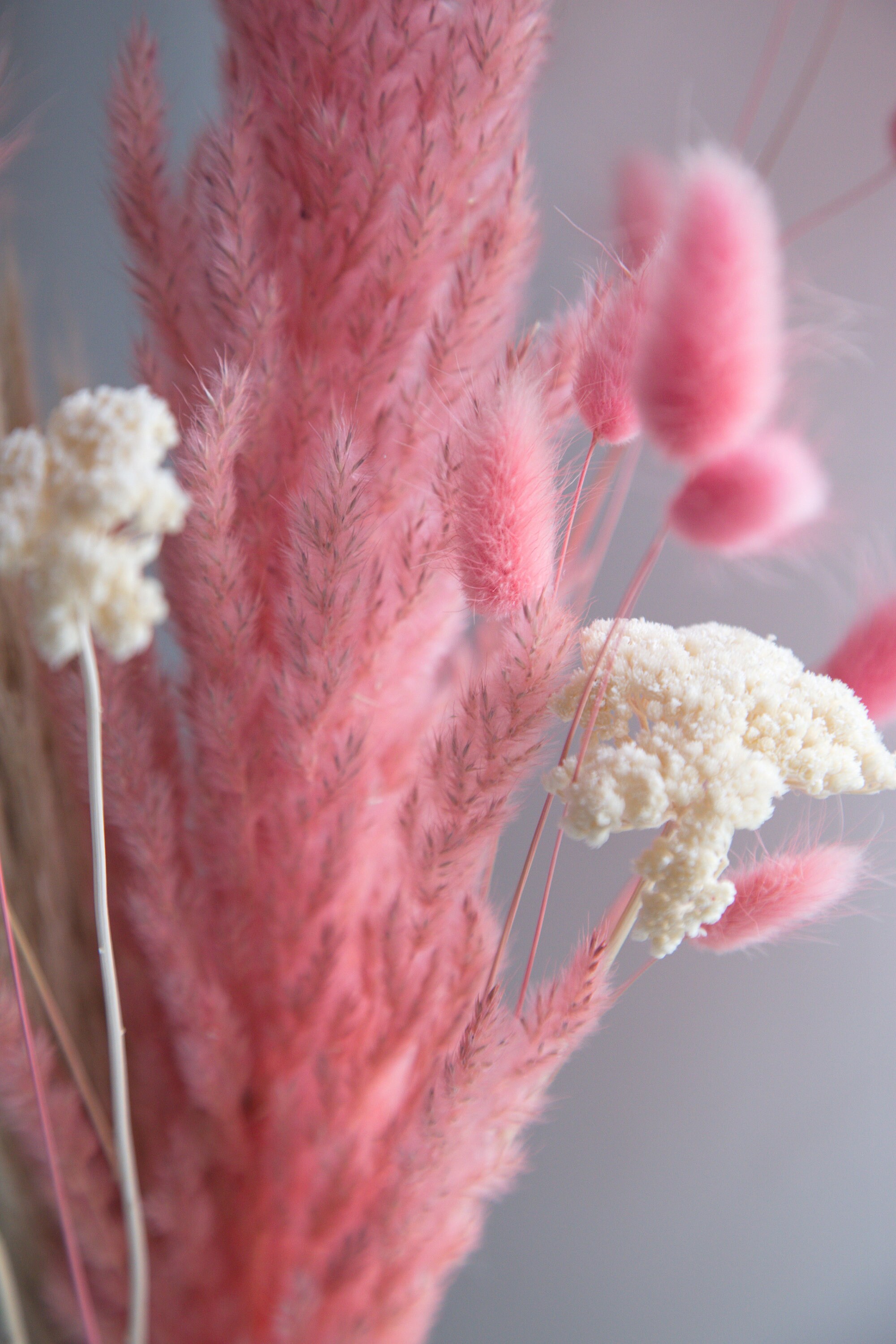 Lightest pink dried flowers bouquet natural large 40cm blush Etsy