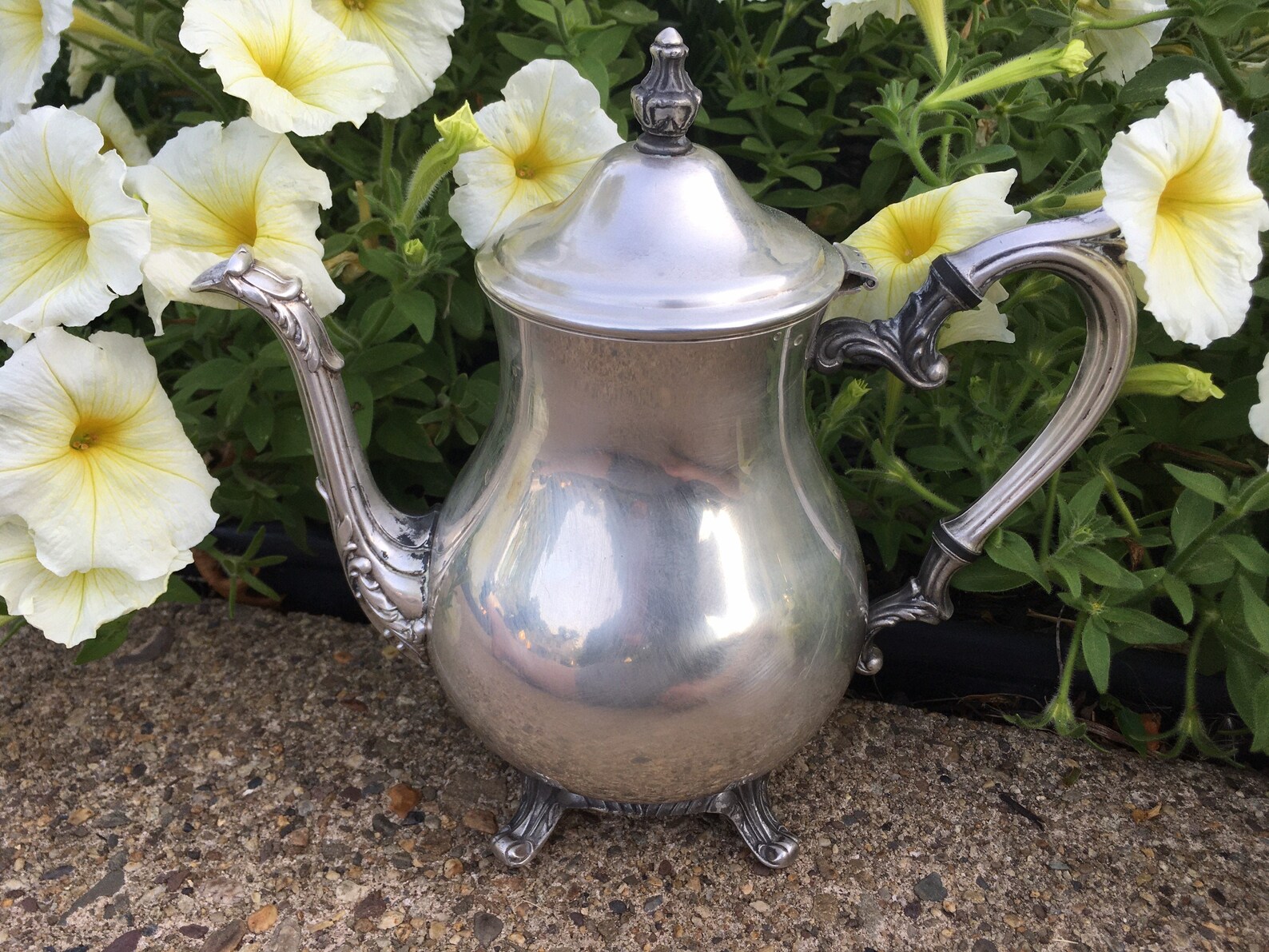 Amazing Vintage WM Rogers Silver Teapot 800 Etsy