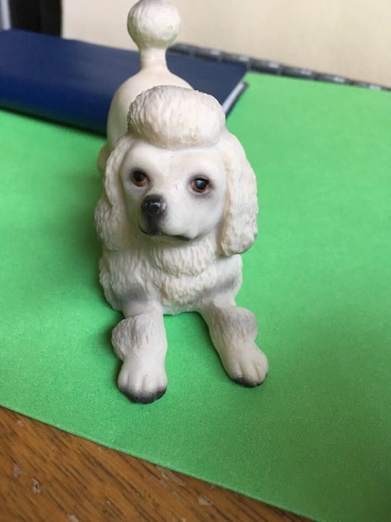 toy poodle trading post