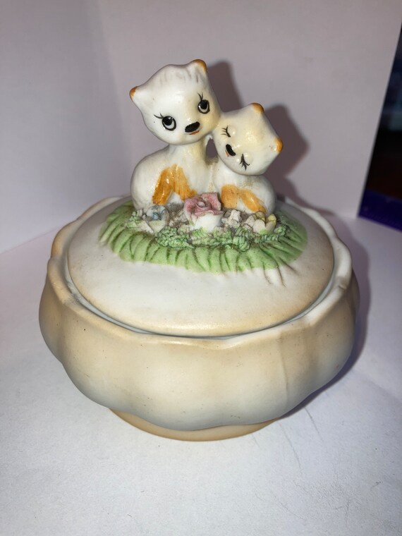 Adorable Kittens on top of little jewelry box