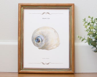 Seaside Decor for a fun Beach House Vibe