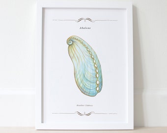 Beach Decor Seashell Art Print