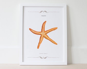 Nautical Decor Starfish Art Print