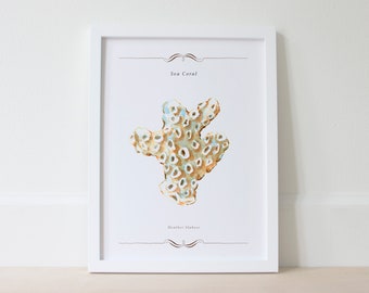 Natural Beige Wall Art Print