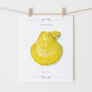 Yellow Wall Art Sea Scallop