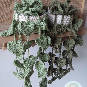 May include: Two crocheted hanging plants in white pots with green leaves. The plants are hanging from a wooden shelf. The leaves are in the shape of hearts. The plants are made by Chipifriends.