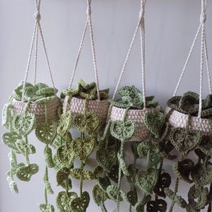 May include: Four crocheted hanging planters with green leaves. The planters are made of beige yarn and are hanging from a wooden shelf.