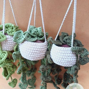 May include: Three crocheted hanging planters with green leafy plants. The planters are made of a beige yarn and have a white cord for hanging.