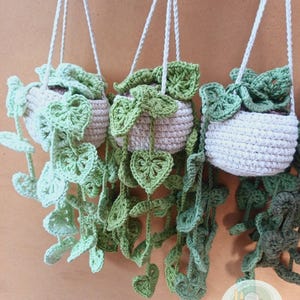 May include: Three crocheted hanging planters with green leaves and a white pot. The planters are hanging from white cords. The image includes the text "Chipifriends" in a white font with a green background.