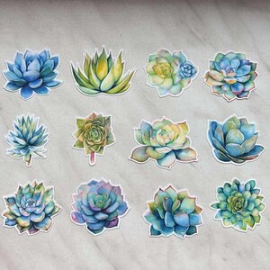 Pegatinas de acuarela con suculentas / Pegatinas lindas con cactus / Regalos para amantes de las suculentas / Pegatinas impermeables