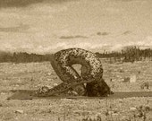 Golden Bronze Snake Skin Rabbit Pose Yoga Art Print Signed on Reverse by Deprise Brescia