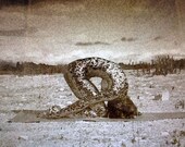 Silver Bronze Snakeskin Rabbit Pose Yoga Art Print Signed on Reverse by Deprise Brescia