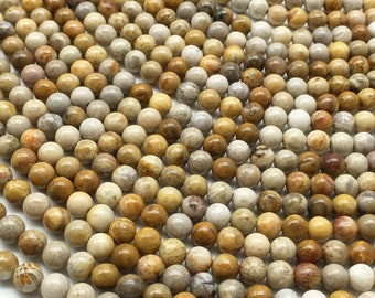 Fossilized Coral Round Beads , Gemstone Beads 6mm 8mm 10mm 12mm, Full Strand