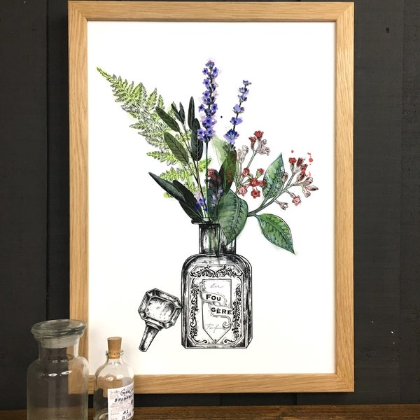 Les Parfums - A4 Art Print, Fougere, Florale, Chypre, Orientale, Rose, Fern, Lavender, Botanical, Fragrance, Lemon