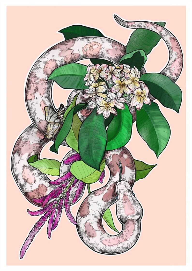Amaranth Life Frangipani Poppies Botanicals Lillies Snakes of Creation- A3 Art Print Death