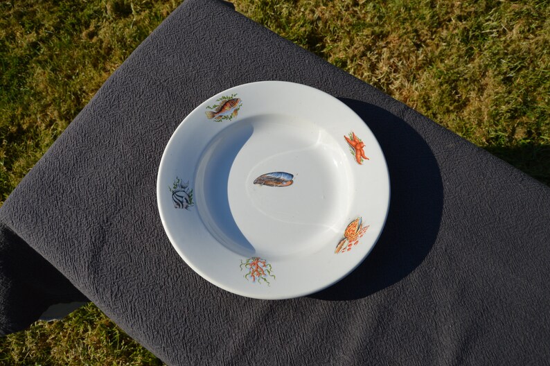 GIEN Decorative Plate Shellfish Bowl Fish Bowl Plate Fully Etsy