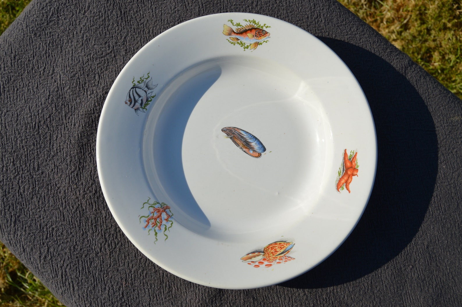 GIEN Decorative Plate Shellfish Bowl Fish Bowl Plate Fully Etsy