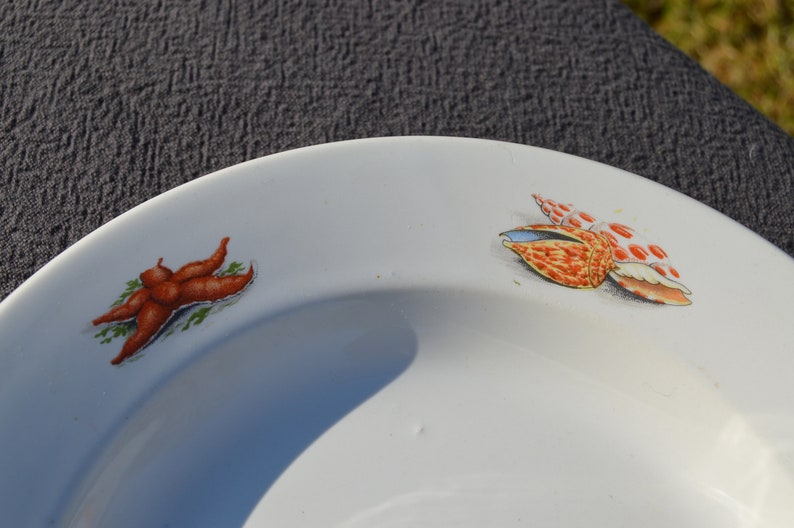 GIEN Decorative Plate Shellfish Bowl Fish Bowl Plate Fully Etsy
