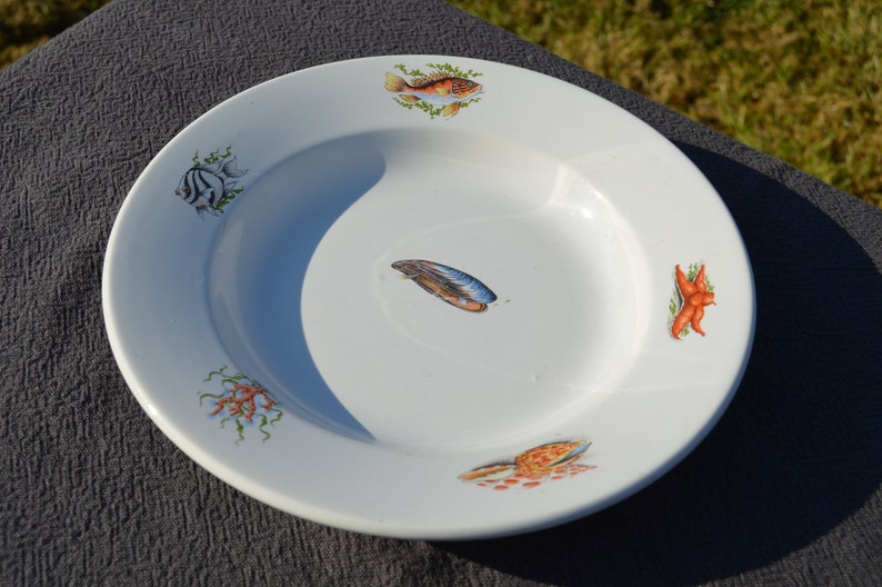 GIEN Decorative Plate Shellfish Bowl Fish Bowl Plate Fully Etsy