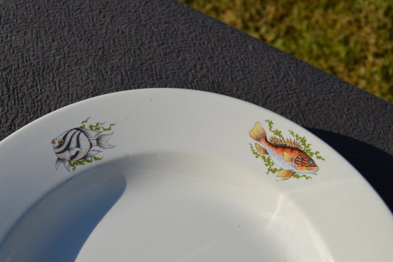 GIEN Decorative Plate Shellfish Bowl Fish Bowl Plate Fully Etsy