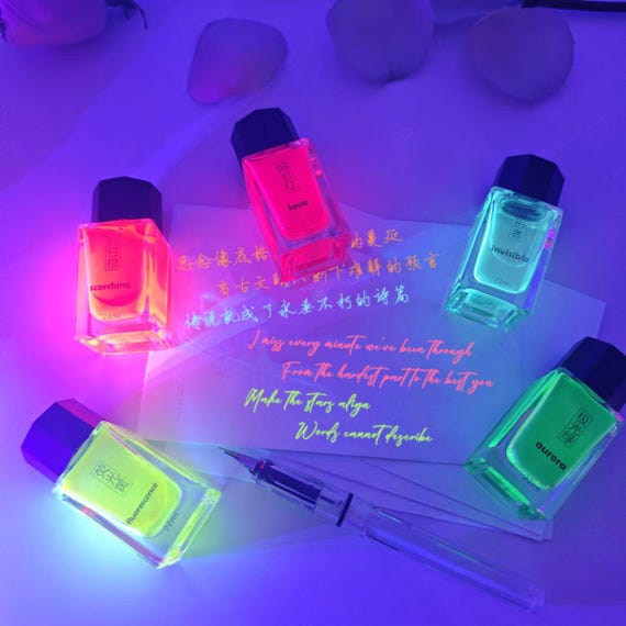 Invisible Ink Fountain Pen Set, 22ml UV Reactive Ink with Clear Fountain Pen, Secret Writing & Private Journal Ink