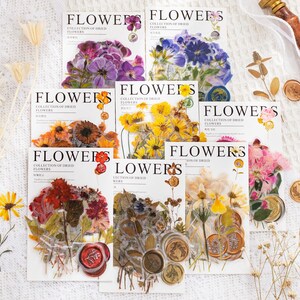 320 adesivi floreali con sigillo di cera / adesivi trasparenti in PET con fiori secchi per scrapbooking, journaling e collage