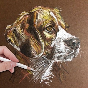May include: A detailed drawing of a dog's head, rendered in shades of brown, white, and yellow. The dog's fur is depicted with fine lines and shading, creating a realistic effect. The dog's eyes are brown and alert, and its nose is black.