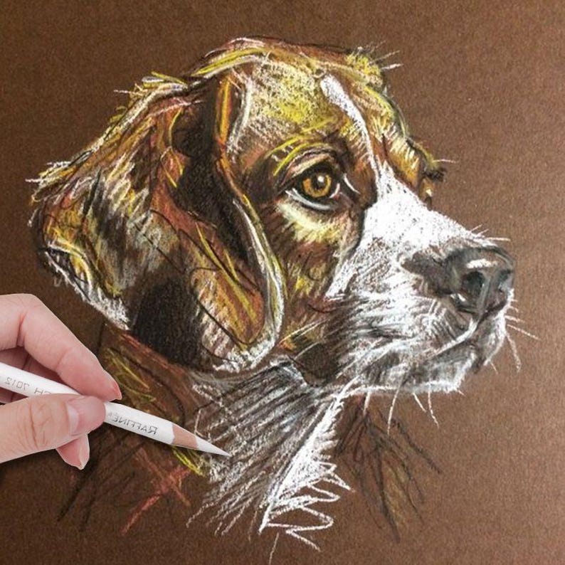 May include: A detailed drawing of a dog's head, rendered in shades of brown, white, and yellow. The dog's fur is depicted with fine lines and shading, creating a realistic effect. The dog's eyes are brown and alert, and its nose is black.