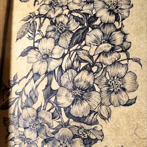 Op de afbeelding: Een zwarte inkttekening van een tros wilde rozen op getextureerd beige papier. De illustratie toont meerdere open bloesems, knoppen en bladeren met gedetailleerd lijnwerk. Het woord "plumblossa." staat in cursief schrift in de rechterbenedenhoek.