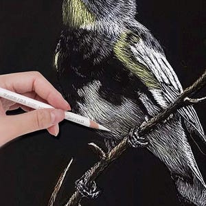May include: A white pencil is being used to draw a detailed image of a bird perched on a branch. The bird is drawn in shades of grey and white on a black background.