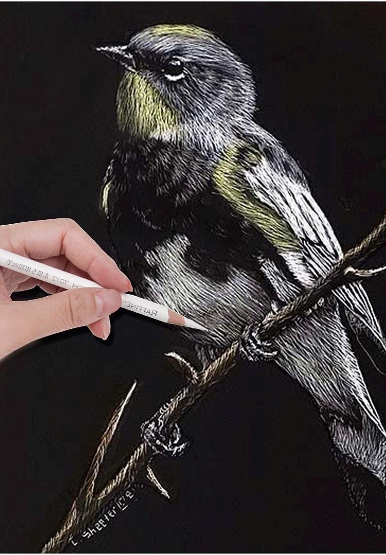 May include: A white pencil is being used to draw a detailed image of a bird perched on a branch. The bird is drawn in shades of grey and white on a black background.