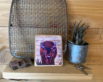 Buffalo art on small wood canvas