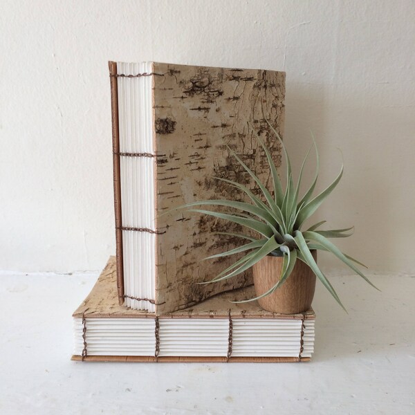 Betula Notebook — Handbound Coptic Journal