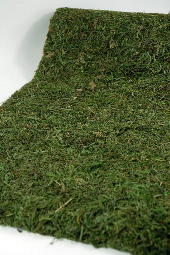 Large Moss Table Runner Moss Table Runner Moss Floor Etsy