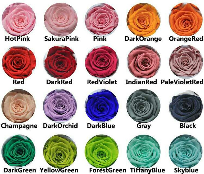 A Dozen Real Roses Long Stemmed Rose Bouquet in box 24K Real Roses You choose color Simply Beautiful !