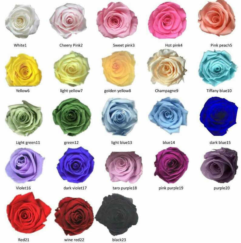 Preserved Real Roses Several Colors To Choose From Wholesale Preserved Roses Last Years Roses For Bouquet Simply Beautiful Bouquets Weddings Valresa Com