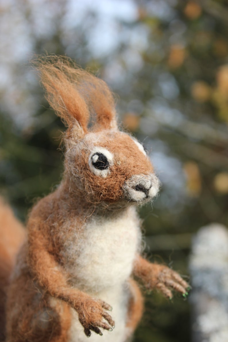 Needle Felted Animal. Needle Felted Squirrel. Felt Animals. Etsy