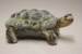 Needle felted Tortoise, felted animal, Miniature soft sculpture, Woodland, Felt wild animals, made by DaliaNerijusFelt 