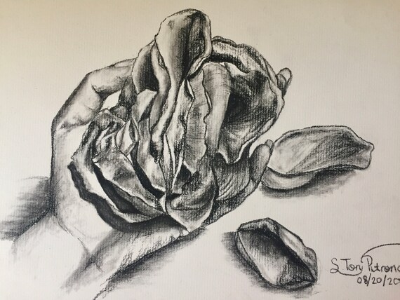 Rose Petals Charcoal Sketch Flowers Charcoal Sketch Rose Etsy