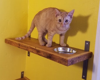 cat dining shelf