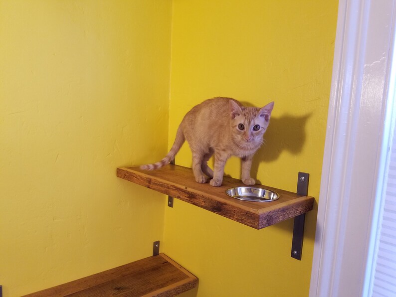 Reclaimed Wood Cat Shelf FREE SHIPPING Etsy