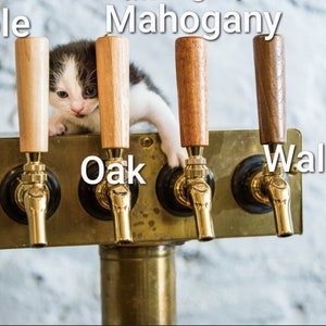 Puede incluir: Un gatito blanco y negro est&aacute; encaramado en un conjunto de cuatro grifos de cerveza dorados. Los grifos est&aacute;n etiquetados como "Maple", "Mahogany", "Oak" y "Walnut".